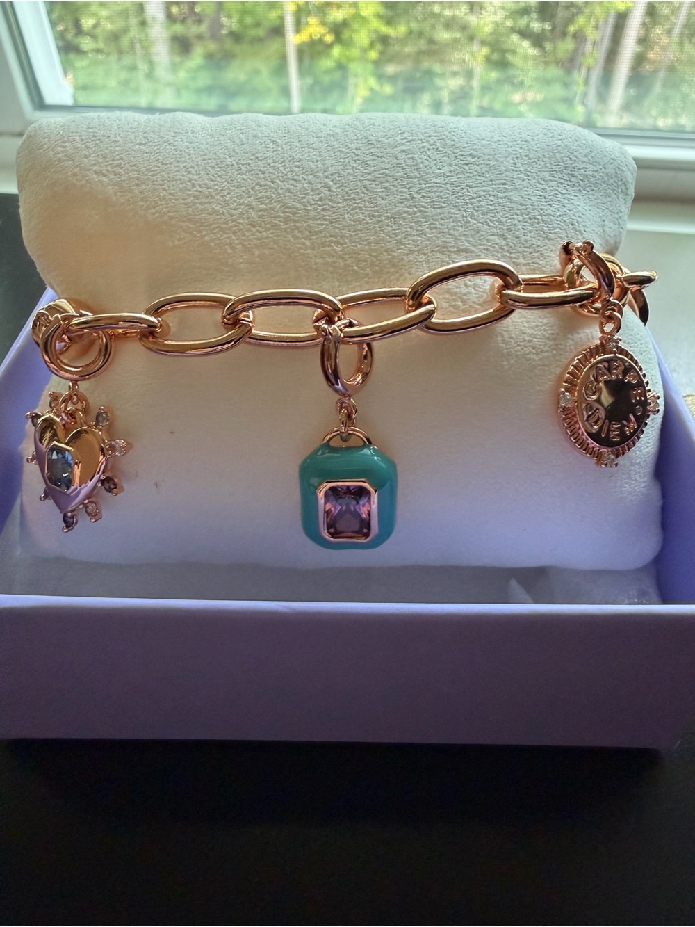Carpe Diem Charmelier Charm Bracelet